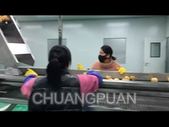 工場でフルーツジュースをどう作るのか?梨汁加工ラインの動作を見てみましょう