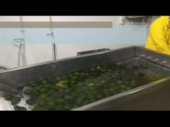 HPP または冷却アボカドパルスをどのように処理する?