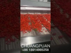 海ノギのジュースをどう作るか知っていますか? 一緒に見てみましょう