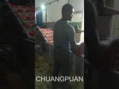 アフリカの中型トマトペースト生産ラインを見てみましょう